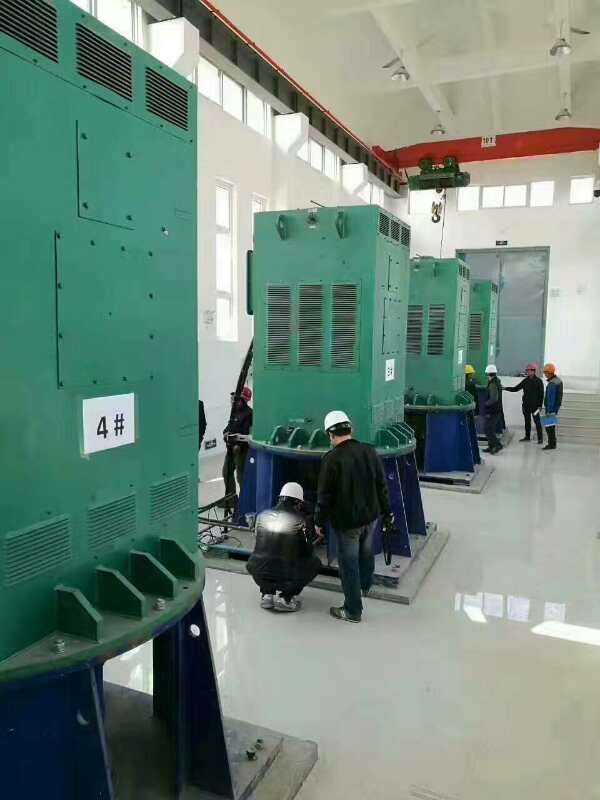 辽阳某污水处理厂使用我厂的立式高压电机安装现场安装尺寸